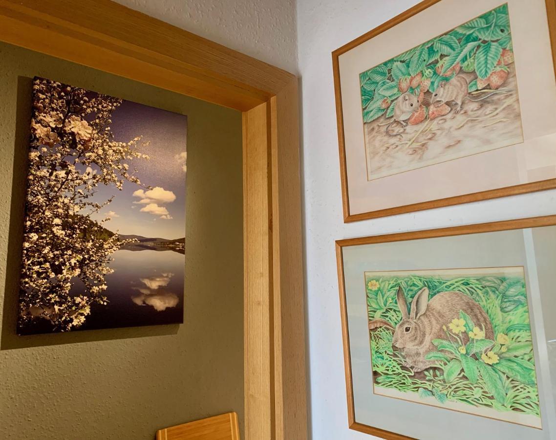 Studio Hase 赛格 外观 照片